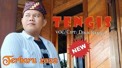 lagu lampung terbaru 2022 || TENGIS || Voc/Cipt: @idijhonaudioproduction