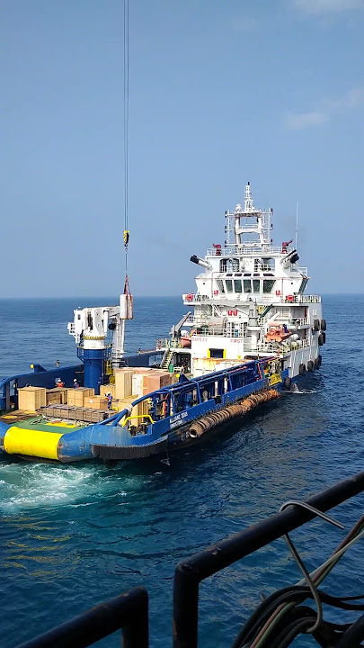 #Offshore Lifting Pedestal Crane