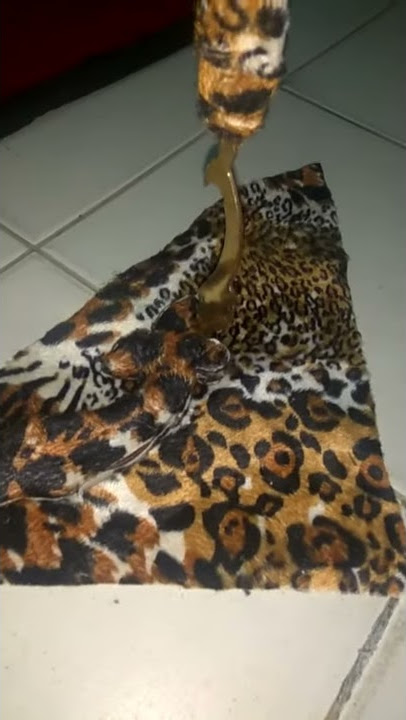 Kujang kembar berdir