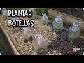 CULTIVAMOS BOTELLAS - Porque poner botellas en tus cultivos! || La Huertina De Toni