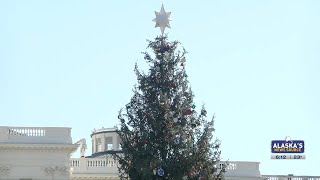What a long, strange trip it’s been: the nation’s Capitol Christmas Tree completes 4,000-mile jou...