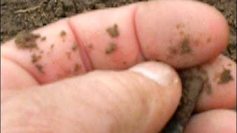 Finding an onondaga brewerton side notched point.AVI