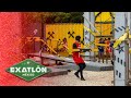¡Leyendas y nuevos pelearon para evitar la eliminación! 🫣👀 | Exatlón México 2026