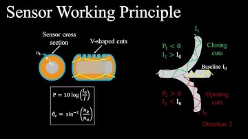 A soft miniaturized continuum robot with 3D shape sensing viafunctionalized soft optical waveguides