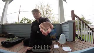 Starting from Seeds Part 1