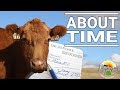 A Cow's Calendar and Nutritional Changes It Brings