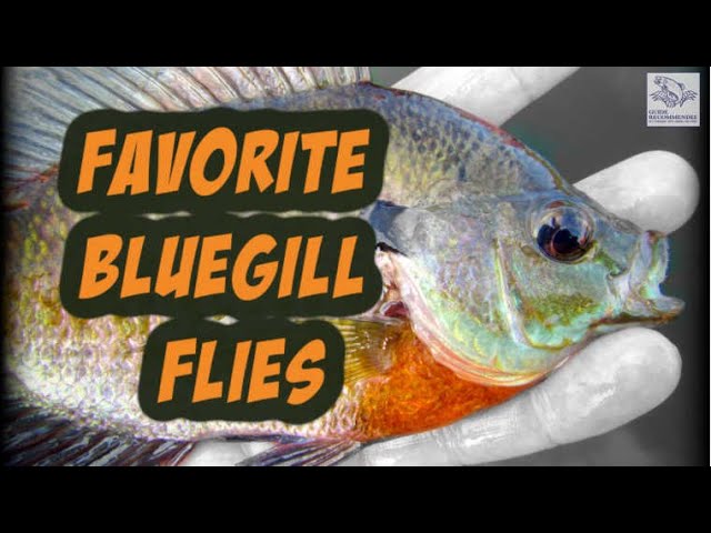5 Favorite Bluegill Flies 