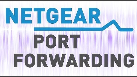 "Port Conflict with Other Service" Error Solution with Netgear Port Forwarding