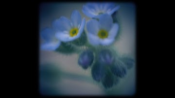 ghost gnotes - Alone is an Earful (Official Video)