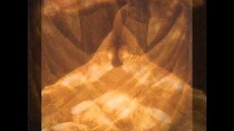 Aleksandra Đokić - wood - bird  wild