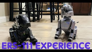 ERS 111 Experience