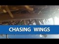 Part #1 Chasing Da Wing HD Version