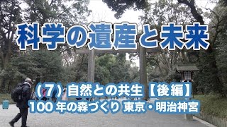 科学の遺産と未来　(7)自然との共生【後編】100年の森づくり　東京・明治神宮
