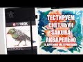 Скетчбук Sakura и Акварель // + Speedpaint Розы Акварелью