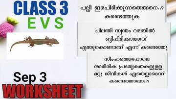 Class 3 Environmental studies Worksheet September 3/Itsvicters Worksheet/ Teaching Corner By Safna