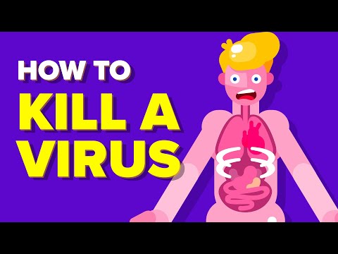 Video: Was witseerkeel 'n virus?