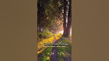 ذكروا الله ☘️ تلاوة هادئة للقارئ اسلام صبحي  #explore  #قرآن #islam_sobhi #اسلام_صبحي #حالات_واتس