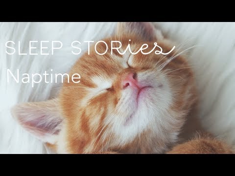 Sleep Meditation For Children 8 Hour Sleepy Cottage Sleep Meditation For Children 8 Hour Sleepy Cottage