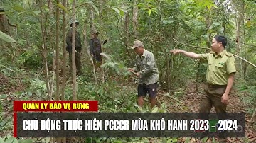 ĐIỆN BIÊN - Chủ động PCCCR mùa khô hanh 2023 - 2024 | Quản lý bảo vệ rừng