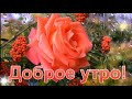 Здравствуй, солнечное утро!  Утро светлое пришло! Хорошего дня! Музыкальная открытка.