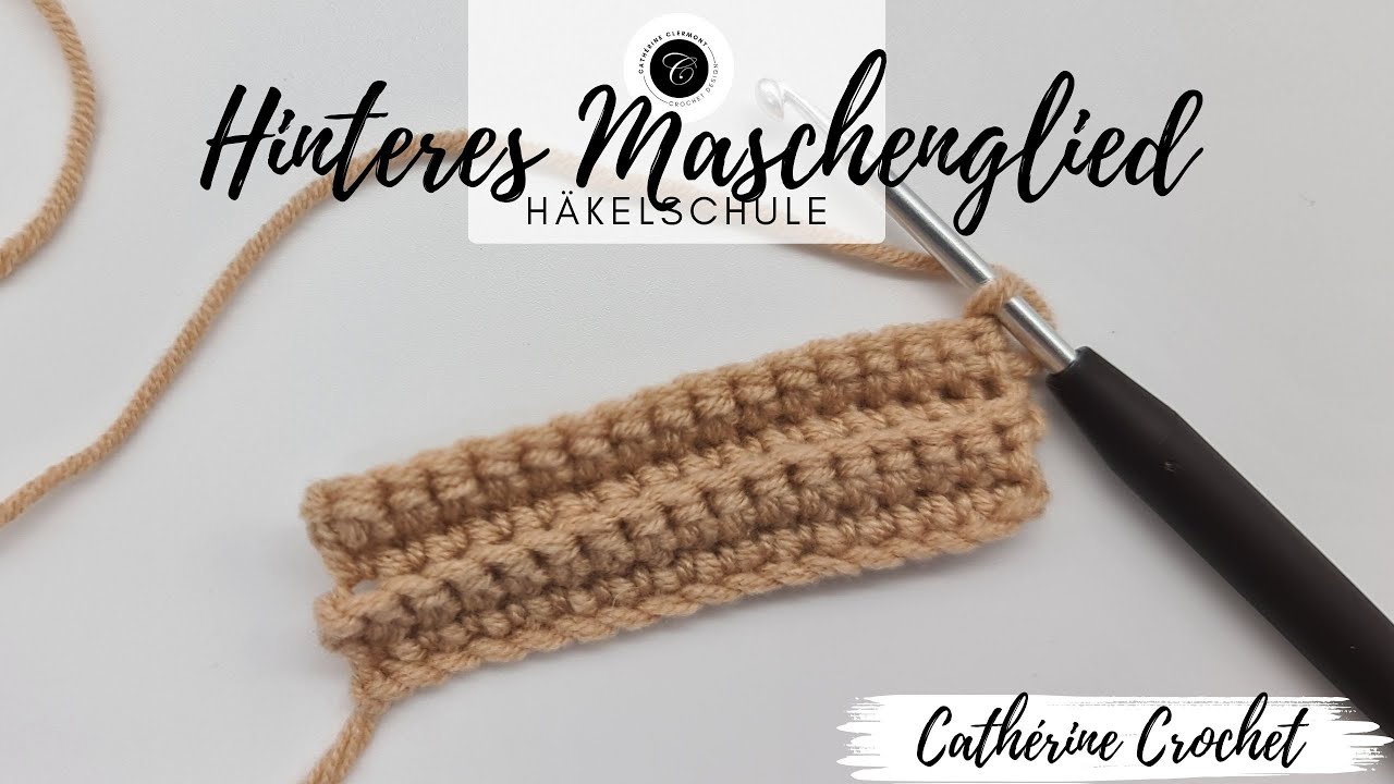 Das hintere Maschenglied