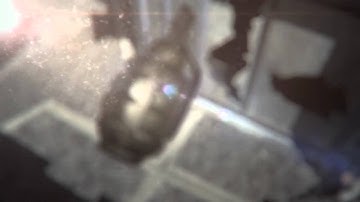 Convergence - NeZo Teamtage (By Omen!)