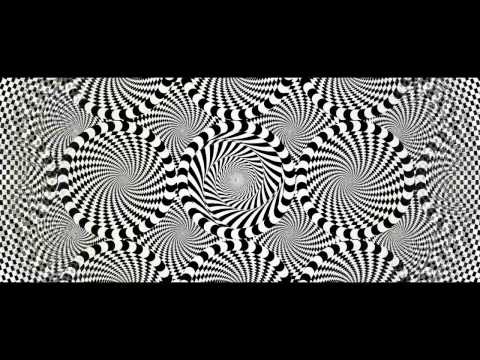 Whole — tráiler