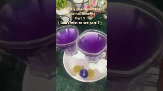 శంఖు పుష్పం టీ butter fly pea flower tea medicinal benefits part 1 acoolteacher butterflypeaflower