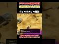 【ドラクエ1リメイク】探索で必須！便利系巻物の入手方法まとめ【ドラクエ1&2リメイク】 #shorts