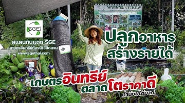 ปลูกอาหารสร้างรายได้ เกษตรอินทรีย์ตลาดโตราคาดีทำน้อยได้มาก! #เกษตรอารมณ์ดี #สแลนกันแดด SGE