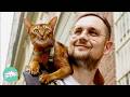 Cat bonds with man and becomes his best travelling buddy  cuddle buddies