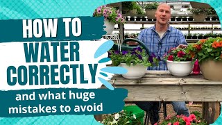 How To Water Flowers Correctly  You MUST Get This Right for Beautiful Plants and Flowers