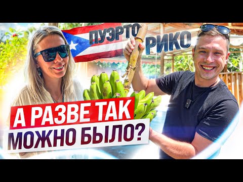 ИММИГРАЦИЯ НА ОСТРОВ / РУССКИХ ЗДЕСЬ НЕТ. #сша
