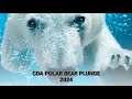 New years cda polar bear plunge 2024  coeur dalene idaho  livestream cold freeze