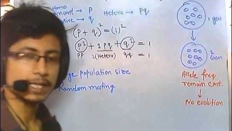 Deviations from Hardy Weinberg equilibrium CSIR NET life sciences