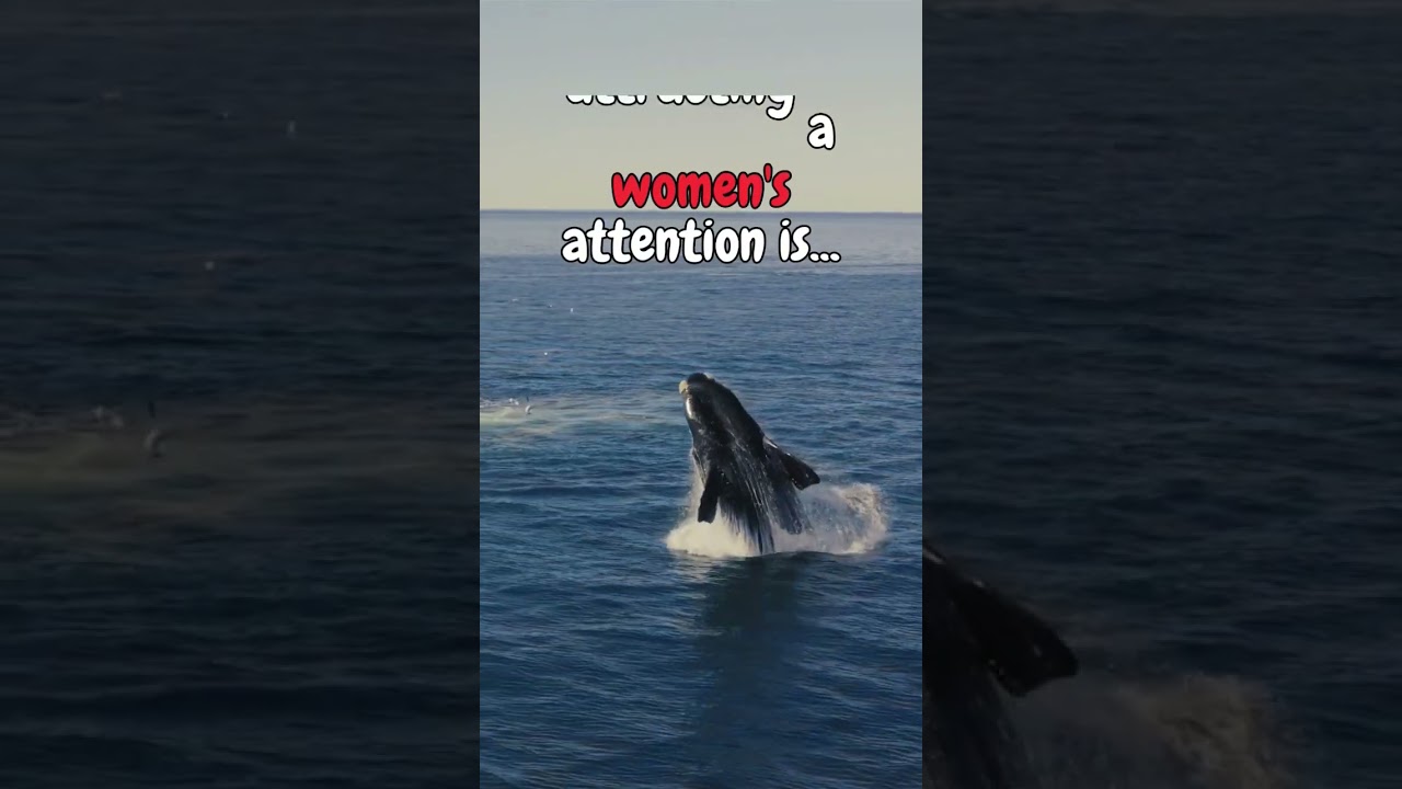 the secrete to attract a woman's ❤ attention is...🤫 #shorts #psychologyfacts #subscribe