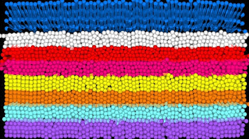 The Rainbow 8 Leg Eliminations Marble Race In Algodoo