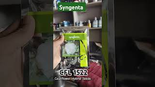 1522 syngenta Cauliflower Hybrid Seeds ll Best Cauliflower Veraity #Suman_beej_bhandar_shop 1522 syngenta Cauliflower Hybrid Seeds ll Best Cauliflower Veraity #Suman_beej_bhandar_shop
