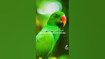 سورة الكرسي