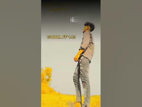 superhit holi videoes
