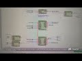 Relay online monitoring signals