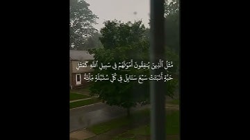 #قرآن #قران_كريم #القارئ_طارق_محمد