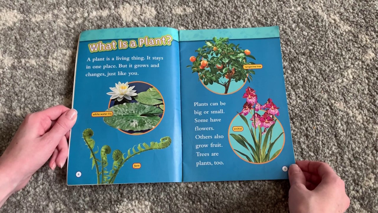 National Geographic Kids Seed to Plant: Read by Mrs. Bowman - YouTube