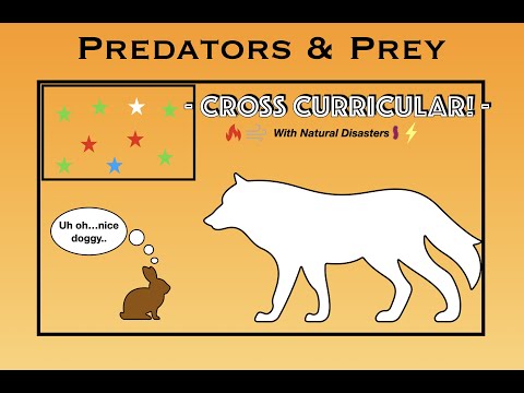Predators and Prey - Phys Ed Game