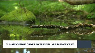 Climate change drives increase in Lyme Disease cases