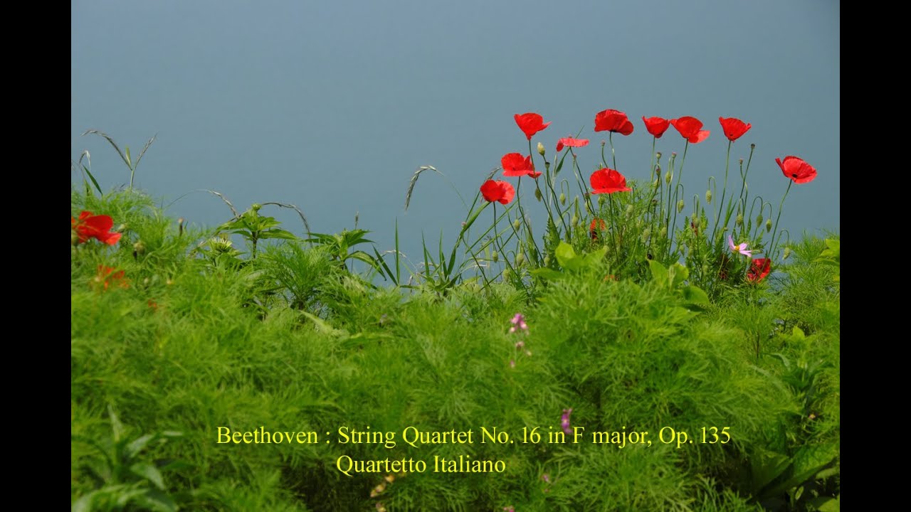 Beethoven : String Quartet No. 16 in F major, Op. 135 Beethoven : String Quartet No. 16 in F major, Op. 135