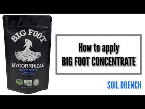 How to Apply: Big Foot Mycorrhizae Concentrate (Soil drench) OMRI Listed, CDFA Organic