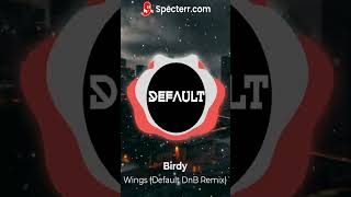 Birdy - Wings (Default DnB Remix)