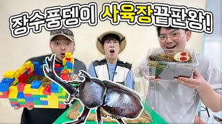 장수풍뎅이 집만들기 대회! [모여라 생물팡팡 EP7]