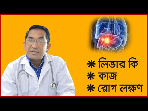 ভিডিও: কীভাবে আপনার নিজের হাত দিয়ে টয়লেট ইনস্টল করবেন - ভিডিও সহ সিভারে ইনস্টল এবং সংযোগের জন্য ধাপে ধাপে নির্দেশাবলী